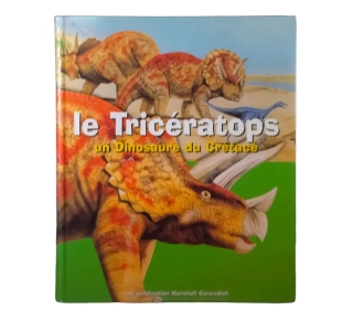 Le tricératops - LITTLE BIG MAN - Dès 6 ans - Recyclerie embarcadère