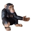 Figurine chimpanzé d'occasion - Schleich - Dès 5 ans | Jeu Change
