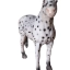 Cheval blanc et noir d'occasion - Schleich - Dès 5 ans | Jeu Change